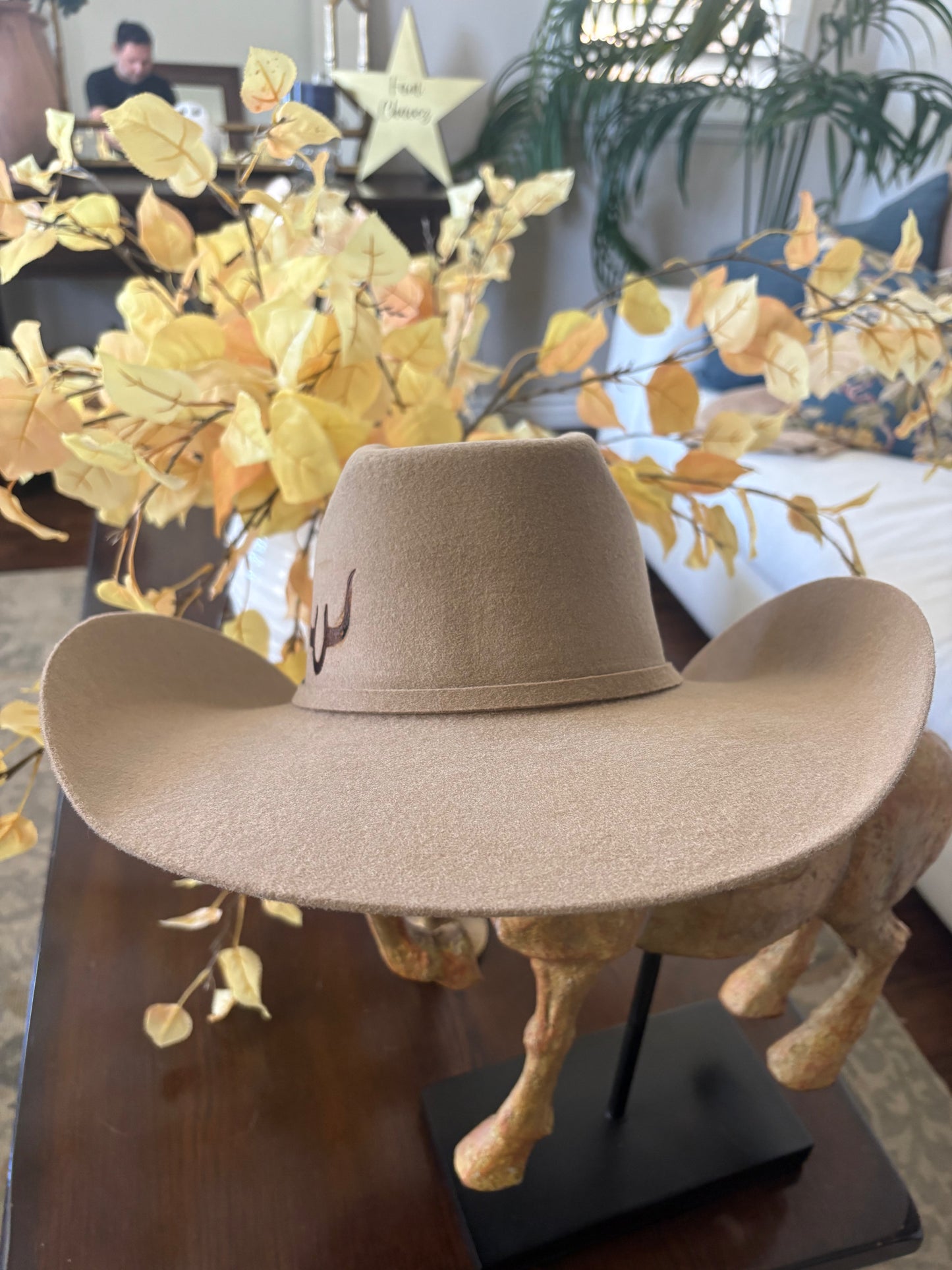Class A Cowboy hot branded felt hat